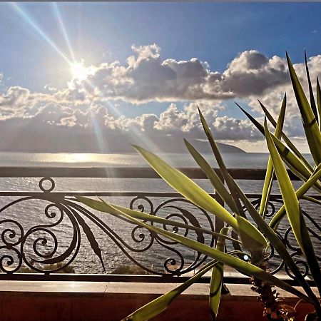 Vila Zahaj فلورا المظهر الخارجي الصورة